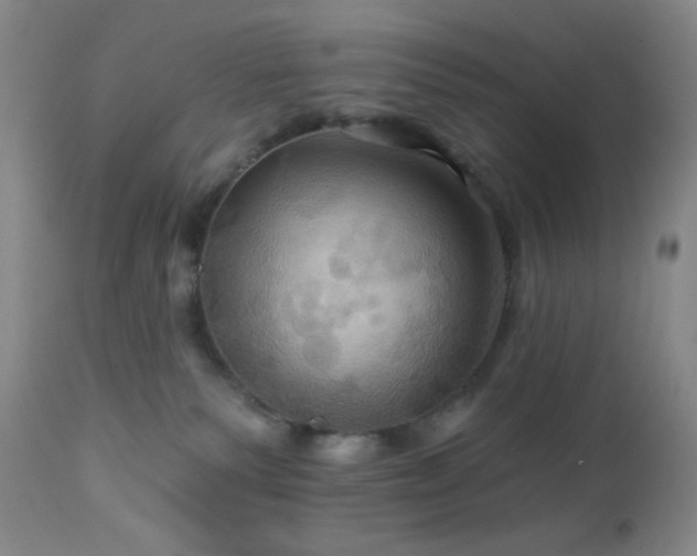 X0000113050135200908271539