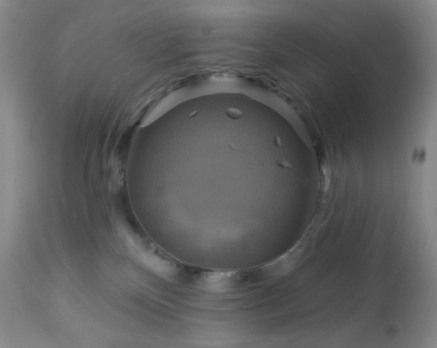 X0000113050136200908271539