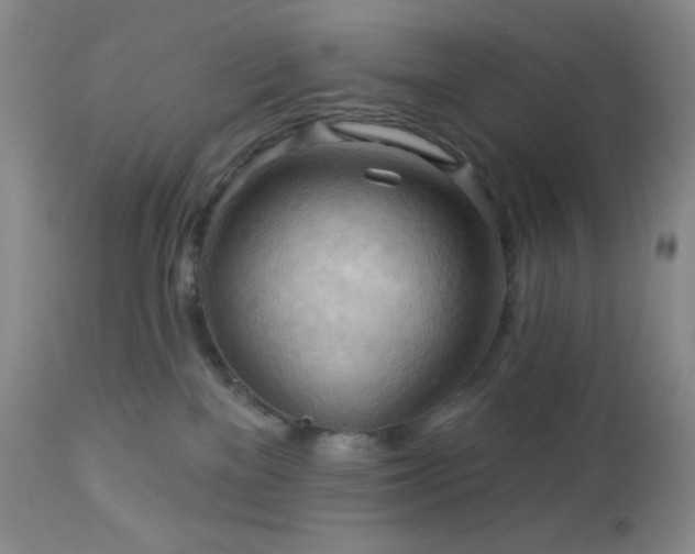 X0000113050137200908271539