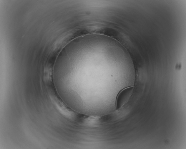 X0000113050138200908271539