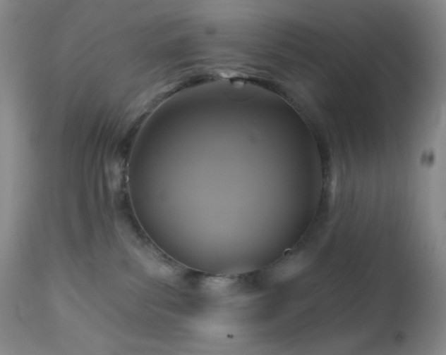 X0000113050139200908271539