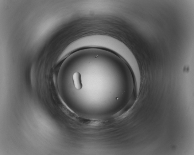 X0000113050140200908271539