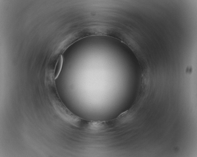 X0000113050141200908271539