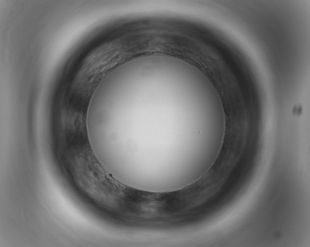 X0000113050142200908271539