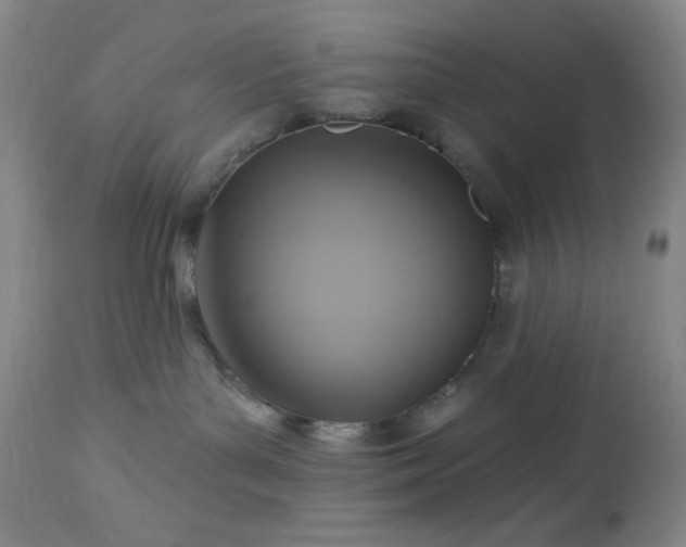 X0000113050143200908271539