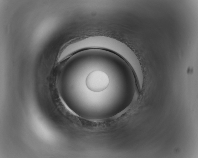 X0000113050144200908271539