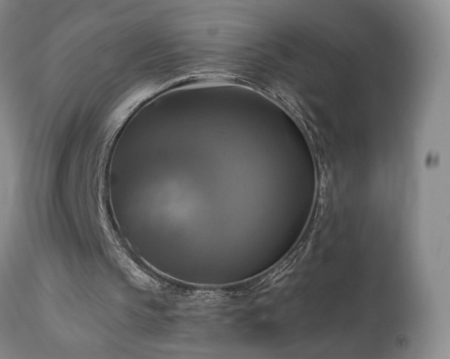 X0000113050145200908271539