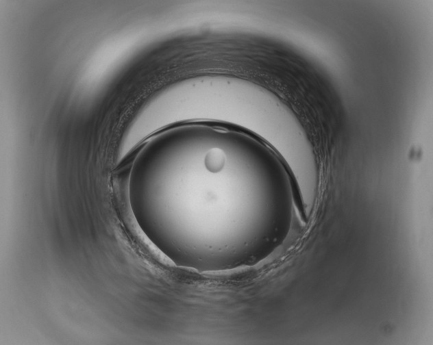 X0000113050146200908271539