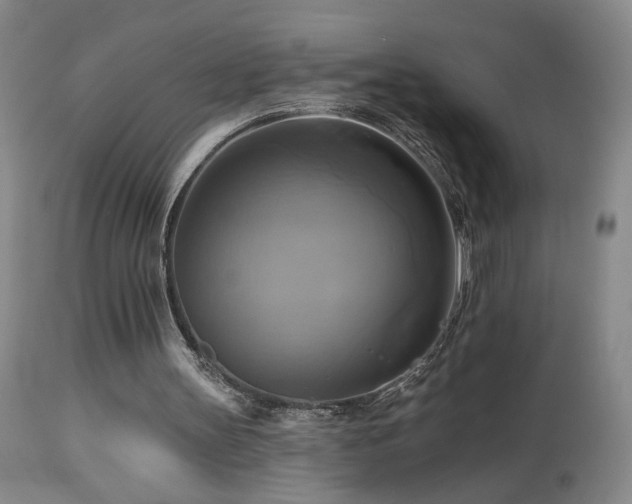 X0000113050147200908271539