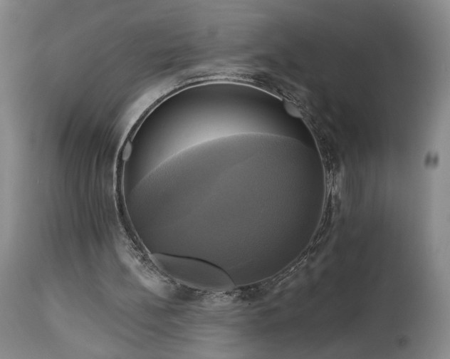 X0000113050148200908271539