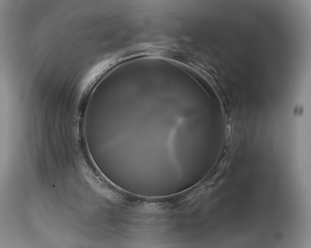 X0000113050149200908271539