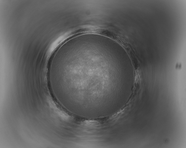 X0000113050150200908271539