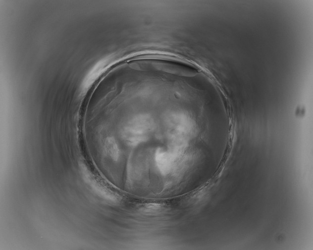 X0000113050151200908271539