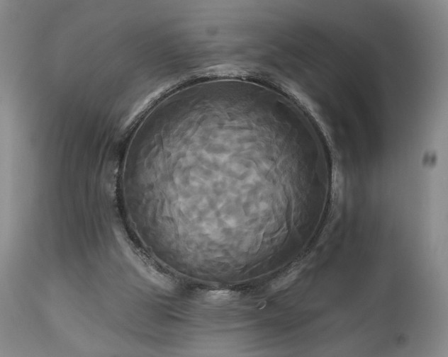 X0000113050153200908271539