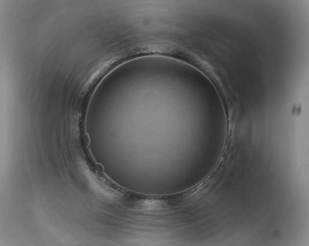 X0000113050154200908271539