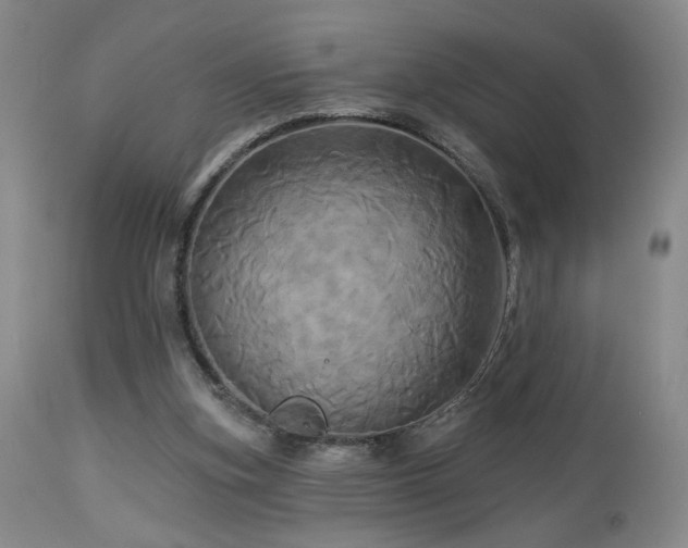 X0000113050155200908271539