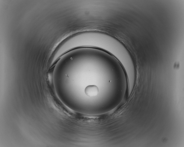 X0000113050156200908271539