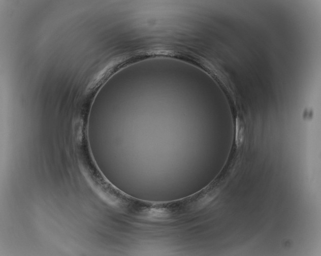 X0000113050157200908271539