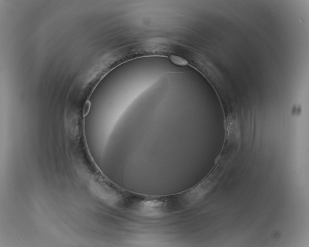 X0000113050158200908271539