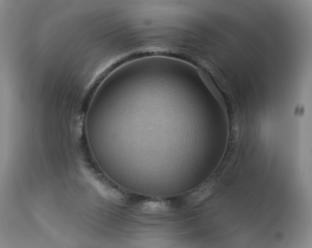 X0000113050160200908271539