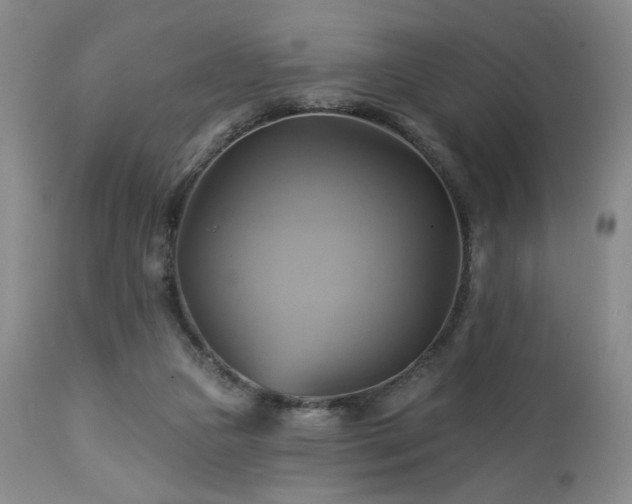 X0000113050161200908271539