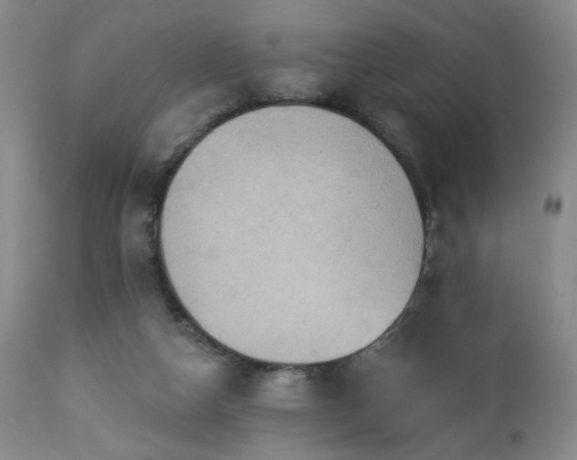 X0000113050162200908271539