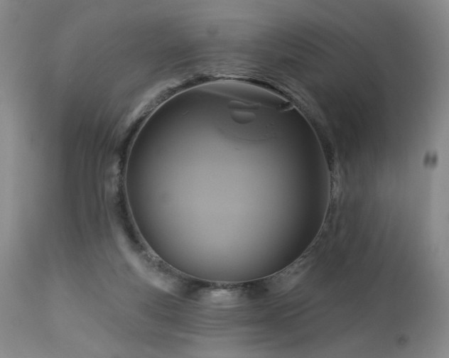 X0000113050163200908271539