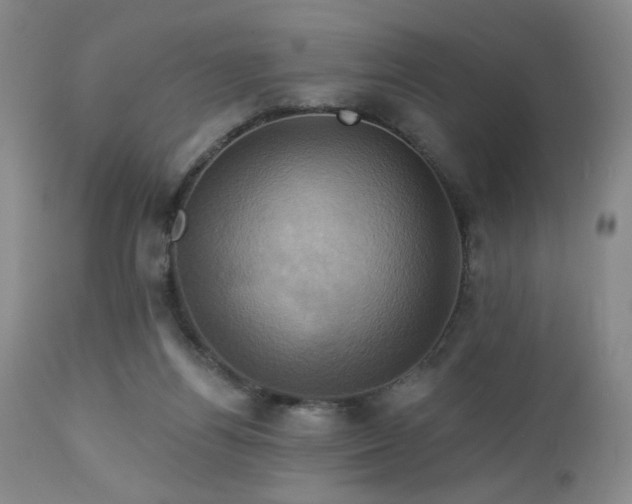 X0000113050164200908271539