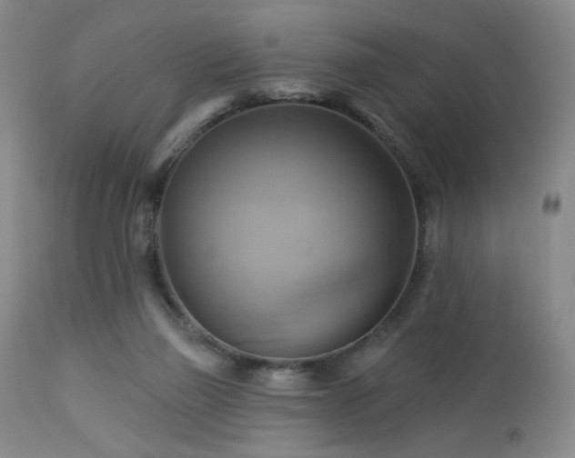 X0000113050165200908271539