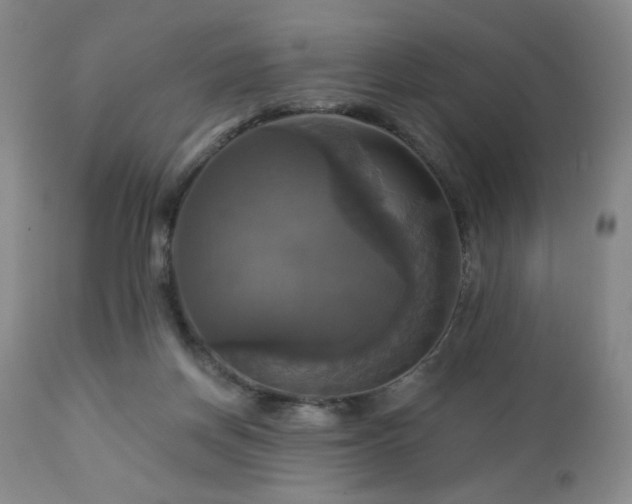 X0000113050166200908271539