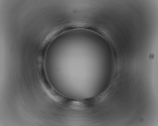 X0000113050167200908271539