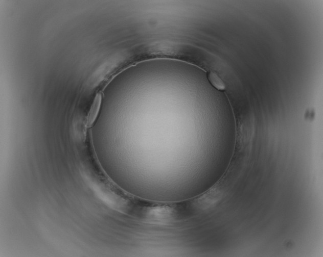 X0000113050168200908271539