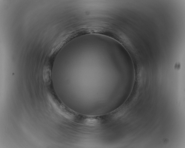 X0000113050169200908271539