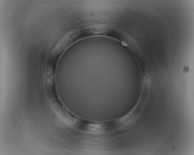 X0000113050170200908271539