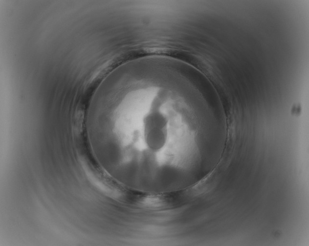 X0000113050171200908271539