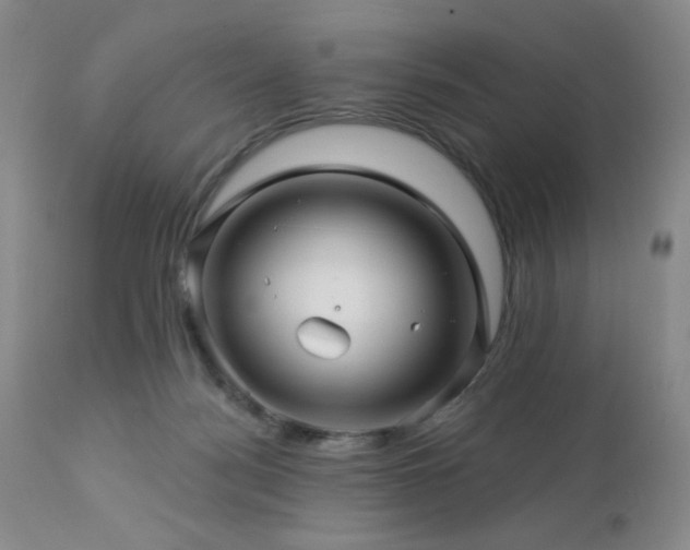 X0000113050172200908271539