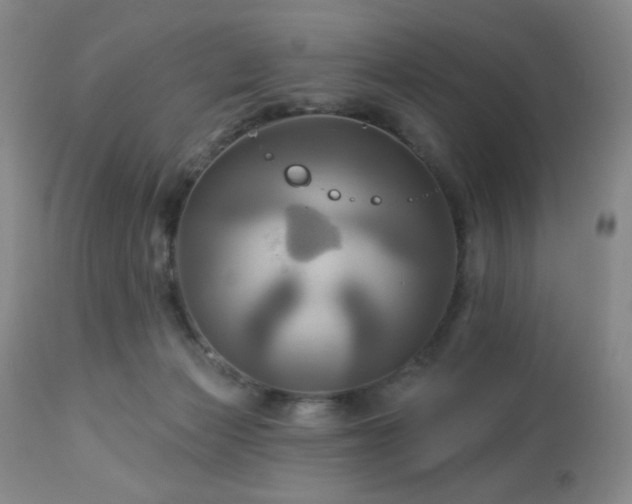 X0000113050173200908271539