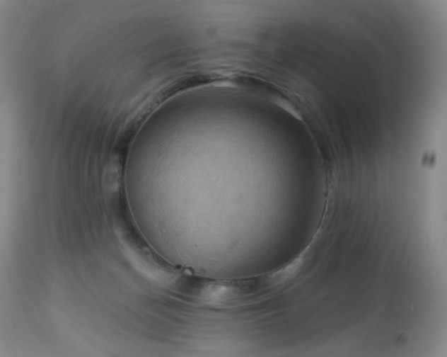 X0000113050174200908271539