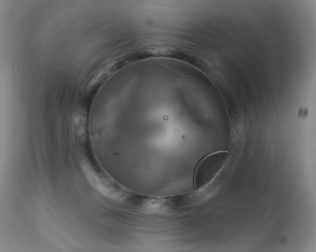 X0000113050175200908271539