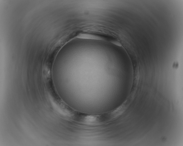 X0000113050176200908271539