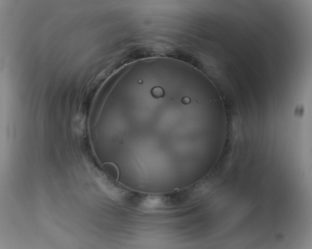 X0000113050177200908271539