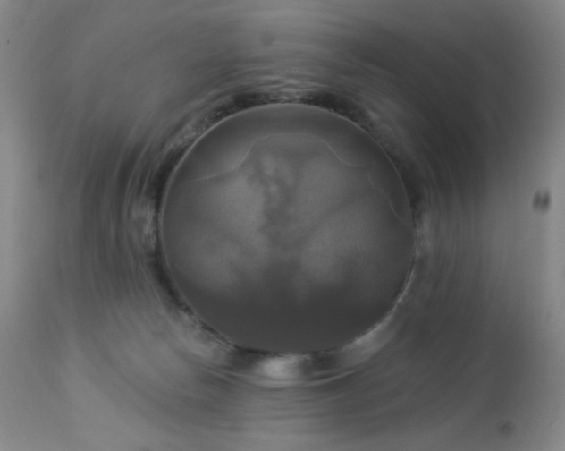 X0000113050178200908271539