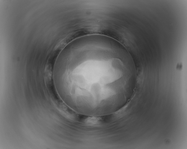 X0000113050179200908271539