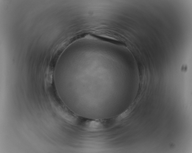 X0000113050180200908271539