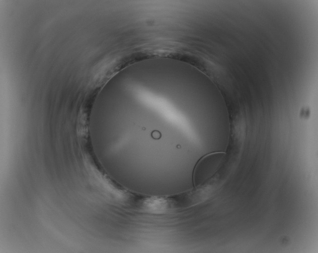 X0000113050181200908271539