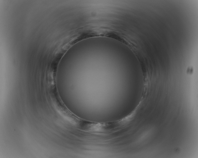 X0000113050182200908271539