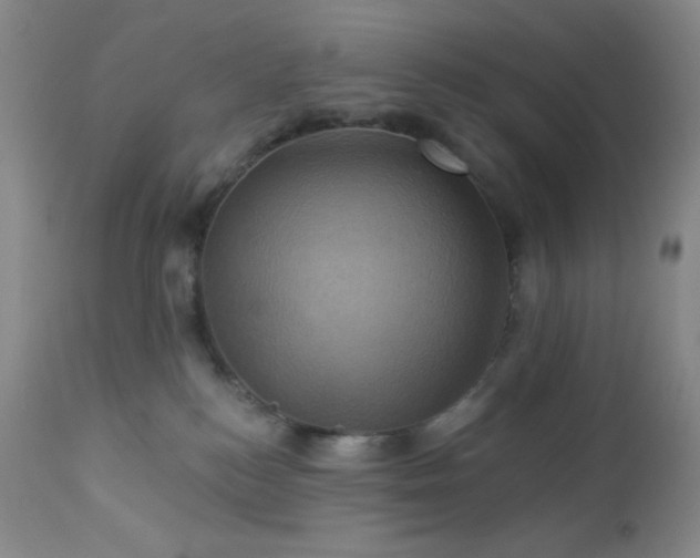 X0000113050184200908271539