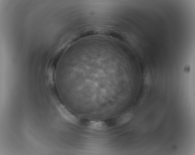 X0000113050185200908271539