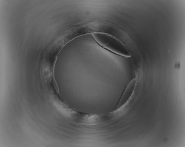 X0000113050186200908271539