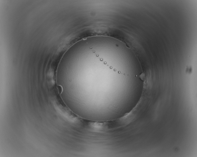 X0000113050187200908271539